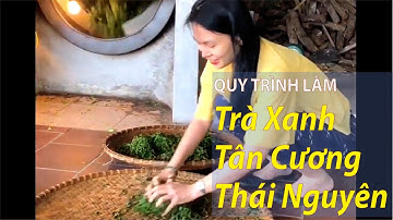 Quy Trình Làm Trà Xanh ở Tân Cương- Thái Nguyên