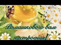 🌼Нежного дня, как букет ромашек  🌼Красивая музыкальная открытка 🌼