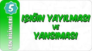 5. Sınıf Fen Bilimleri | Işığın Yayılması ve Yansıması