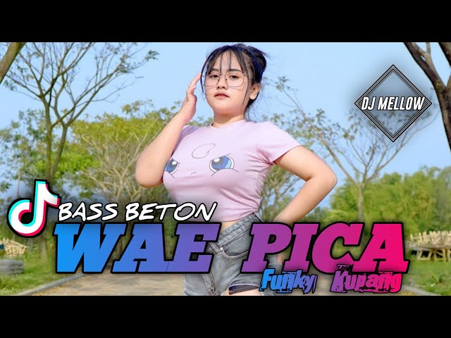 DJ WAE PICA MELEDAK FYP     DHANY HABA FUNKY KUPANG class=