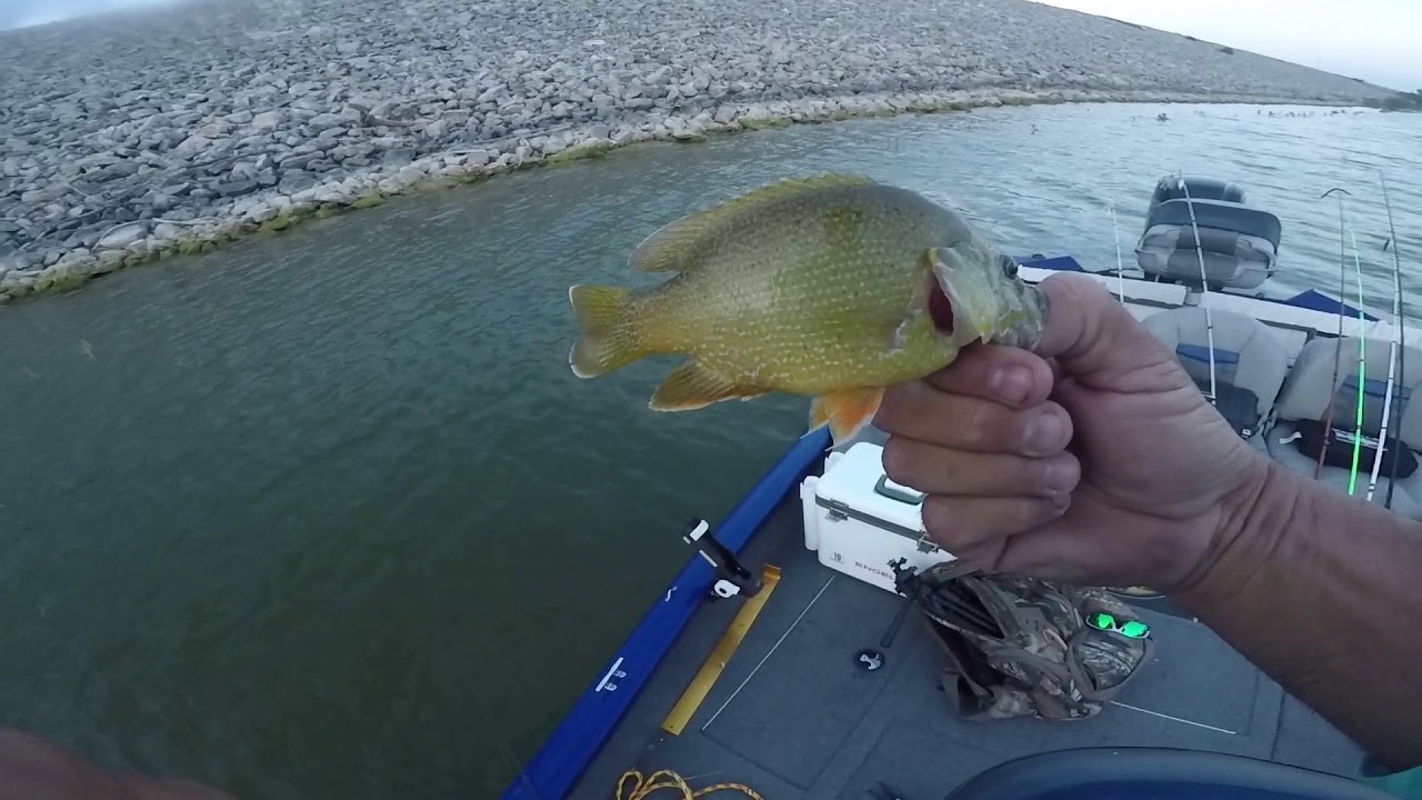Caught FOUR different Species of fish at Twin Buttes Lake. YouTube