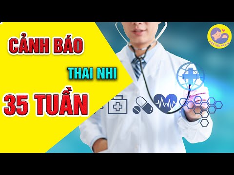 Video: Mang thai 35 tuần - Những điều bạn cần biết