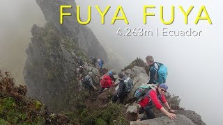 Fuya Fuya, 4263m, Climbing, Ecuador