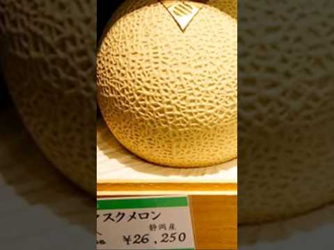من اغلى انواع البطيخ في العالم 23000 سعر البطيخة الواحدة غرائب  