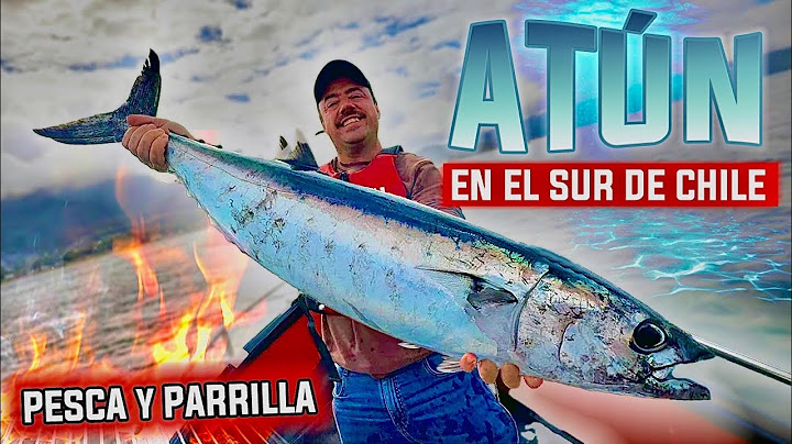 I catch a TUNA in the South and grill it!