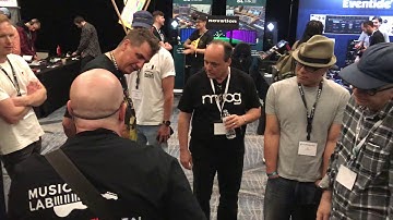 Synthplex. Strumming (back view)