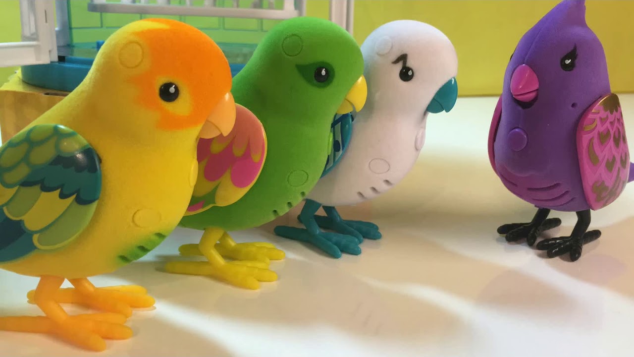 Toy bird. Птичка little Life Pets Dancen' Danne. Dancing Parrot Toy. Birds singing Toy Parrot.