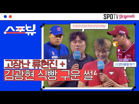 확인 결과 마운드에 고양이입니다🐈 | 스포뷰 EP.06