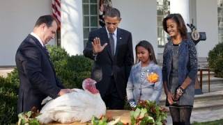 President Obama Pardons Turkey