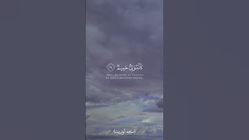 ﴿ولا تستوي الحسنة ولا السيئة﴾ سعد أوزيت حالات واتس تلاوة قرآن