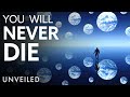 Exploring Quantum Immortality and Biocentrism