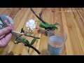 Размножение орхидеи фаленопсис без цитокинина. Часть 4