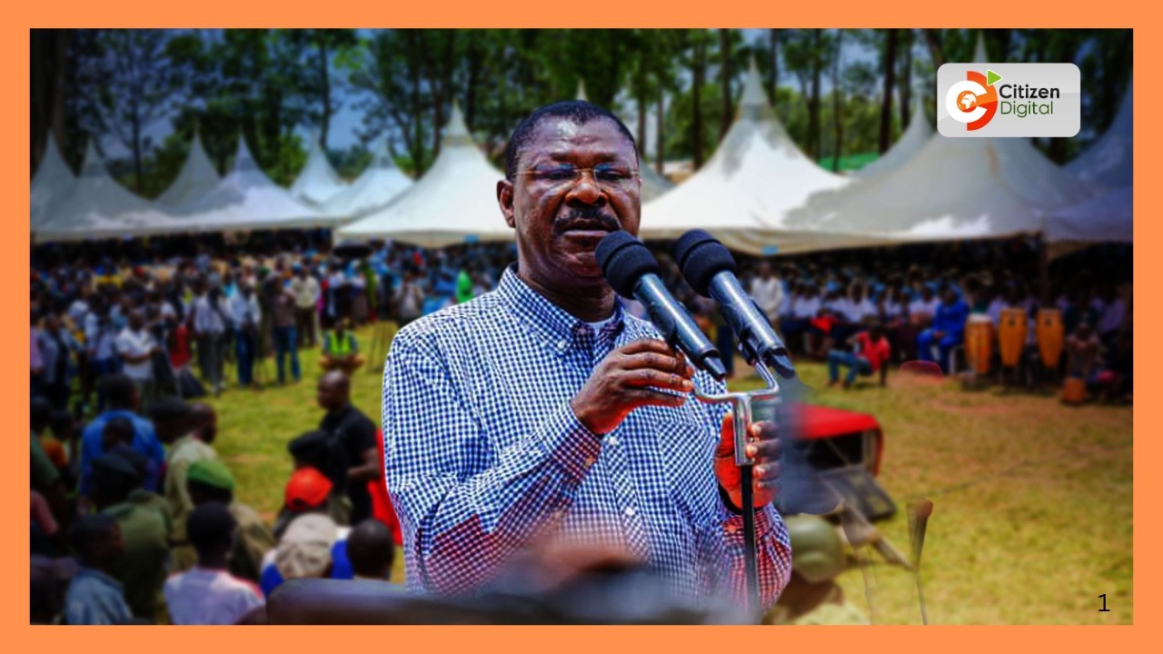 Ruto’s ‘two-term’ campaign gains backing from pro-government leaders