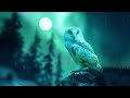 Soothing Music for Sleep, Meditation Music for Sleep &amp; Relaxation, Sleep Meditation, Nighttime Music