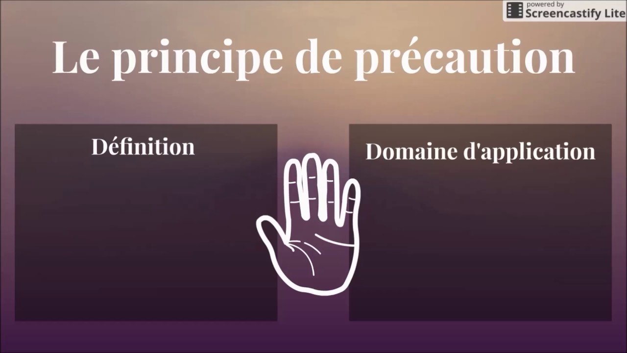 BTS Droit - Th5 Chap3 : Le principe de précaution