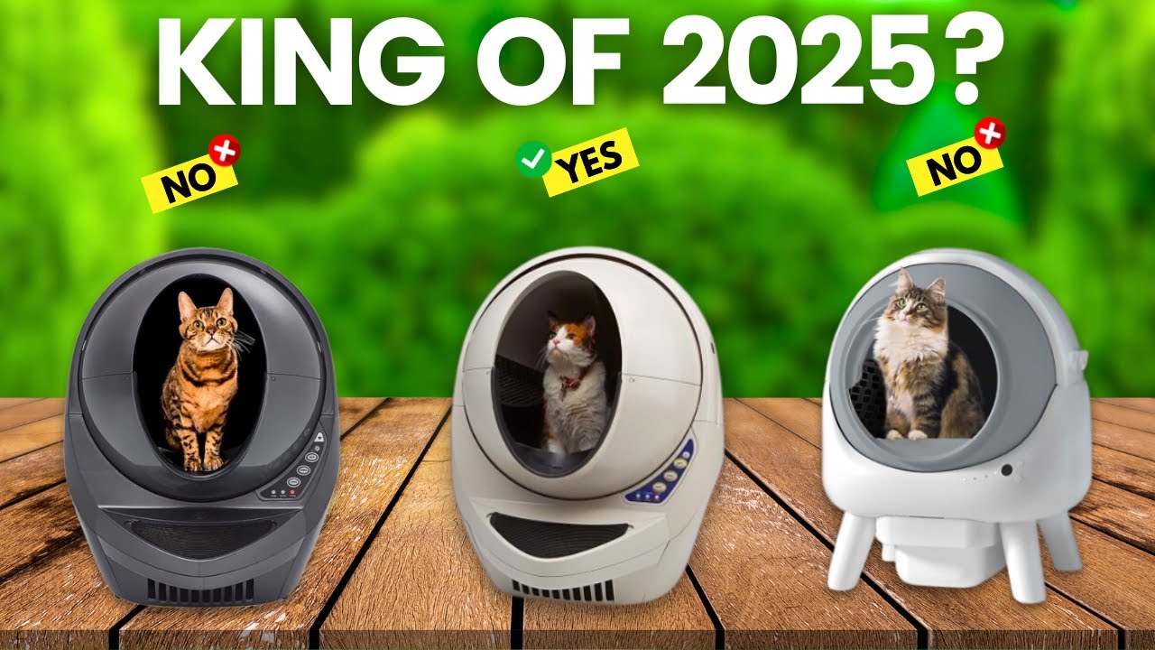 6 Best Self Cleaning Cat Litter Box 2025