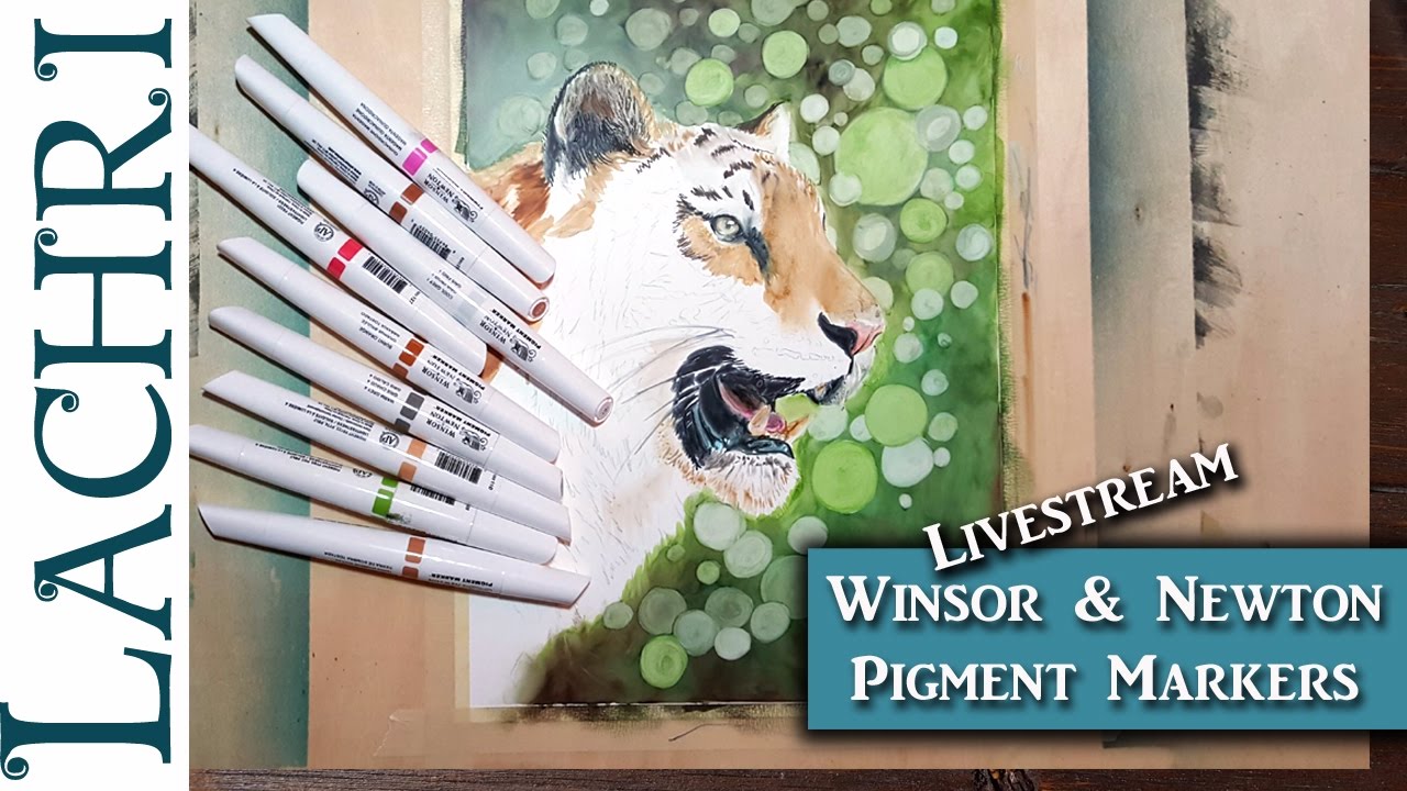 Livestream - Drawing Tiger fur in Winsor & Newton  Pigment Markers w/ Lachri