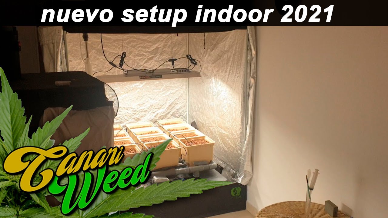 MY NUEVO SETUP 2021 /CULTIVO MARIHUANA medicinal🍁 *INDOOR*