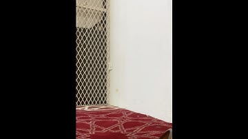"سورة الفاتحة - الأعلى " تلاوة من صلاة عيد الأضحى ١٤٤٦ هـ / جامع سلمان الفارسي 🕌❤️ #الرياض .