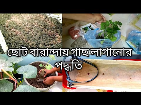 ভিডিও: উইন্ডোজিল বা বারান্দায় কীভাবে ডিল বাড়বে