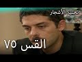75سنوات الضياع 75سنوات الضياع