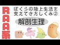 レニン・アンジオテンシン・アルドステロン系（RAA系）～ ぼくたちの陸上生活を支えるしくみ ～ パート2
