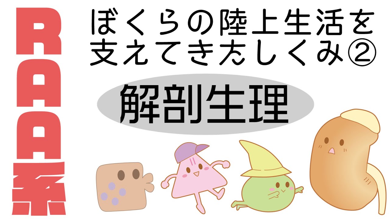 レニン・アンジオテンシン・アルドステロン系（RAA系）～ ぼくたちの陸上生活を支えるしくみ ～ パート2