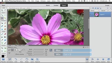 Photoshop Elements 11 Tutorial | The Magical Magnetic Lasso Tool