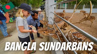 A DAY IN BANGLADESH SUNDARBANS: Exploring the largest mangrove forest in the world.