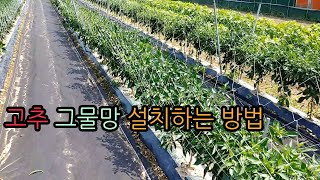 고추 그물망 설치하는 방법