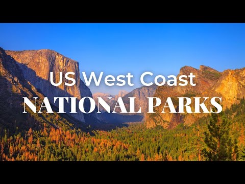 Vídeo: West Coast National Park: o guia completo