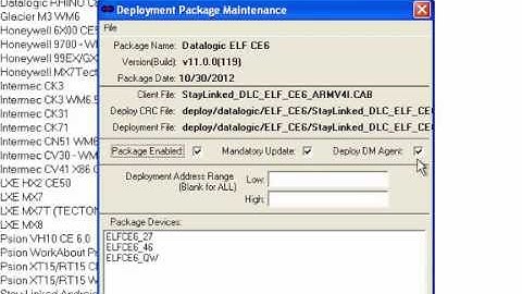 Deploying the Stay-Linked Device Management Software Remotely