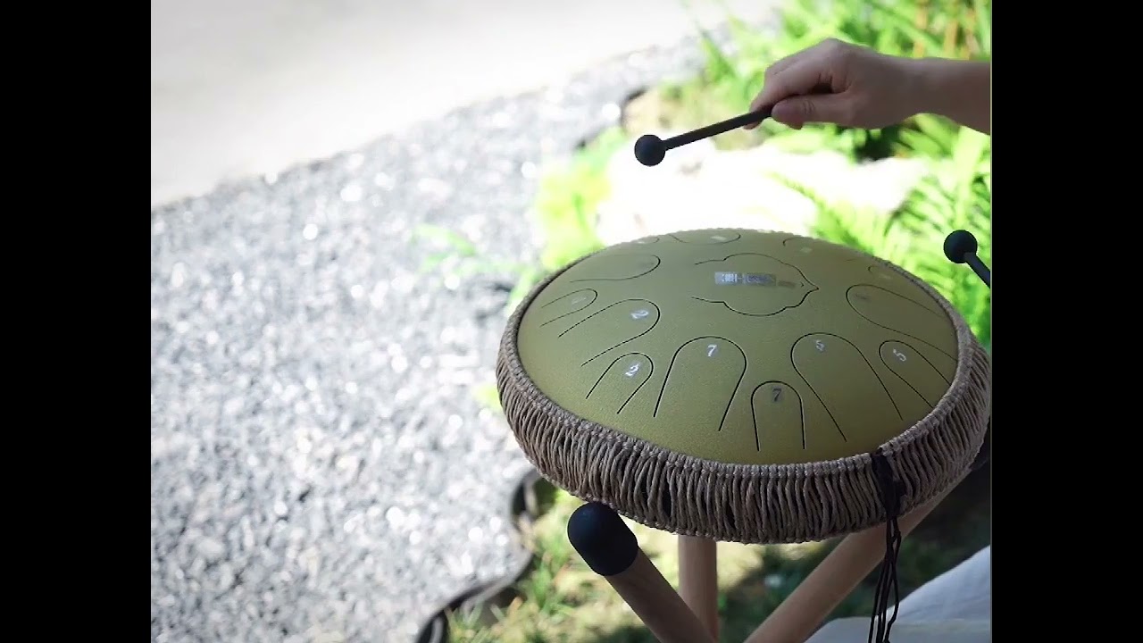 Een zeldzame stekelkrab van 15 kg is ontdekt in een garnalenvijver