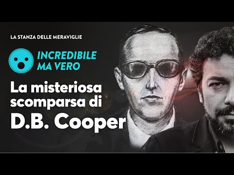 Video: La Misteriosa Scomparsa Di Charles Ashmore E David Lang - Visualizzazione Alternativa