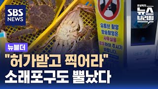 "허가받고 찍어라" 안내문…경고 나선 소래포구 / SBS / 뉴블더