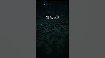 ماهر المعيقلي تلاوة خاشعة حالات واتس اب دينية مؤثرة