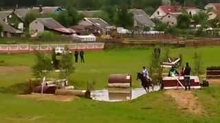WP 20140531 018