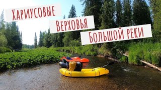 Хариусовые верховья большой реки