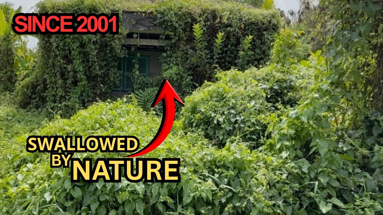 Left to Rot Since 2001 | Detroit Abandoned House — Part 2