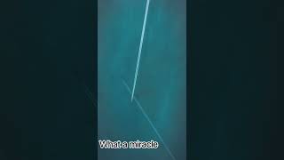#Shorts#YouTubeShorts#Viral#FYP (For You Page)#TrendingNow#Explore#Contrails#VaporTrail#SkyHigh#