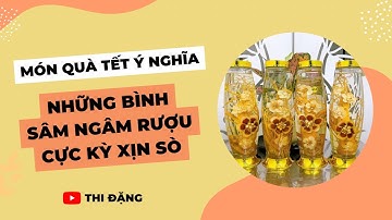 Món Quà Tết Ý Nghĩa, Những Bình Sâm Ngâm Rượu Cực Kỳ Xịn Sò - Thi Đặng - ANaNa Nhân Sâm Korea