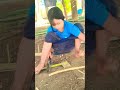 Natural Skill! ✨🌿 | Traditional Bamboo Weaving by a Village Artisan