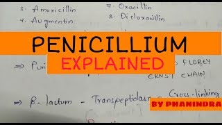 Penicillium | Discovery | Downstreaming Production and Working