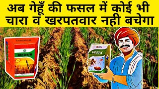 गेहूं के सारे खरपतवार व चारे खत्म | Gehu ki kheti me kharpatwar niyantran | Upl vesta | Herbicide