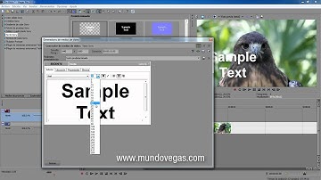 Tutoriales Vegas Pro 9.0 y 10.0 // Datos del Vídeo Grabado