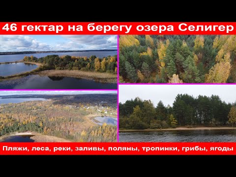 Земельные участки на берегу озера Селигер