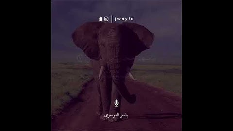 سورة الفيل / حالات قرآنيه / ياسر الدوسري