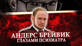 Андерс Брейвик Глазами Психиатра | Массовое Убийство В Норвегии