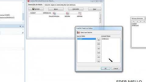 Uma das Maneiras de Indexar Campo no Delphi 10.3