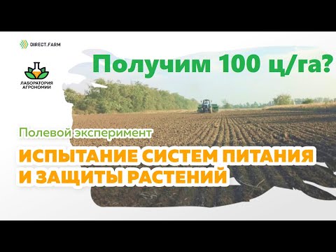 Итоги подкормки аммиачной селитрой